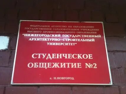 Список заселения ннгасу 2024