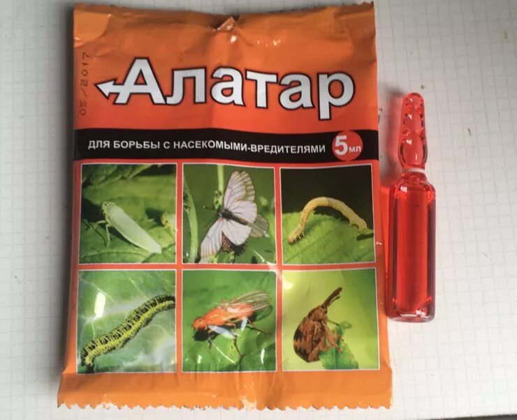 Алатар 5 мл. Средство от насекомых алатар 5 мл. средство от насекомых-вредителей 5 мл алатар. отрава от вредителей алатар. алатар для колорадского жука.