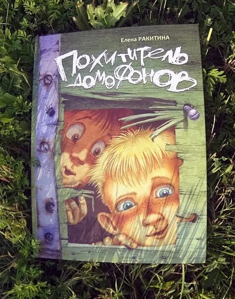 Ракитина похититель домофонов речь. Ракитина похититель домофонов книга. Похититель домофонов читать. Похититель домофонов читать. Ракитина е.