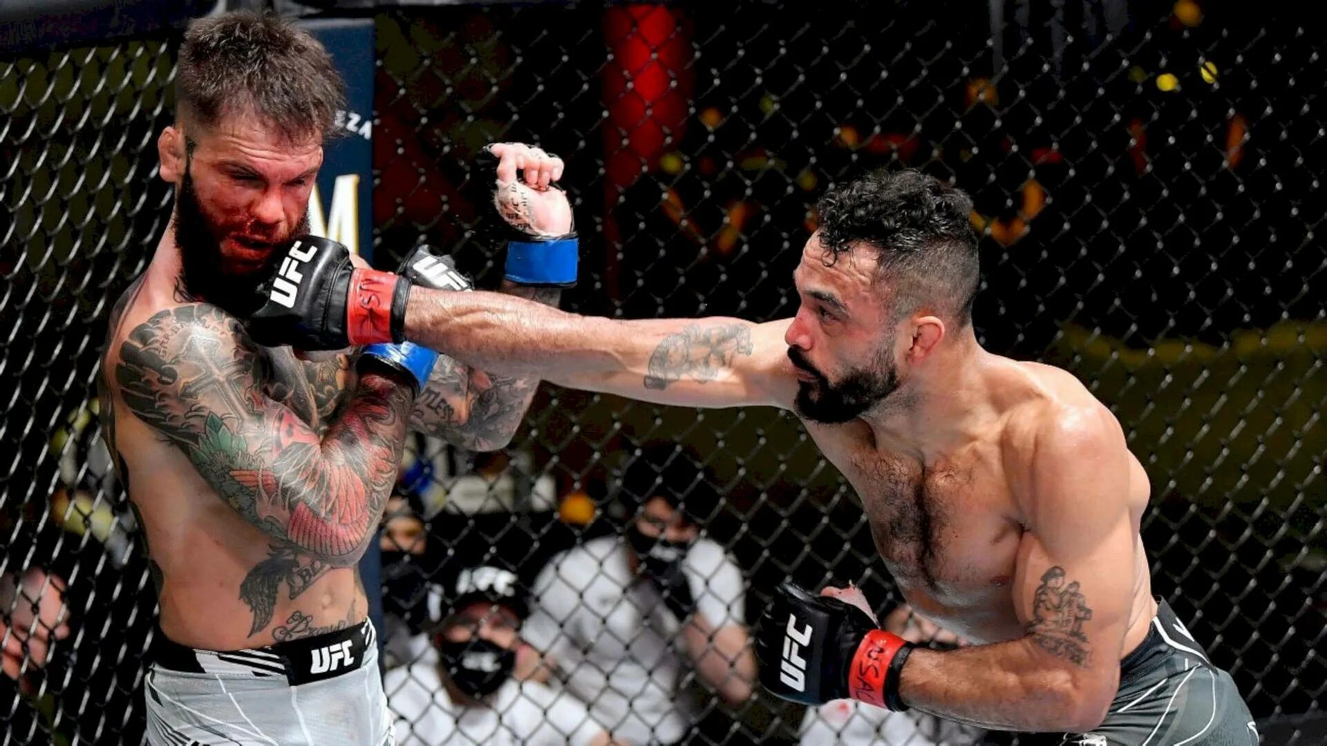 Битвы ufc. Битвы ufc. Битвы ufc. Битвы ufc. Конор макгрегор и бойцы юфс.