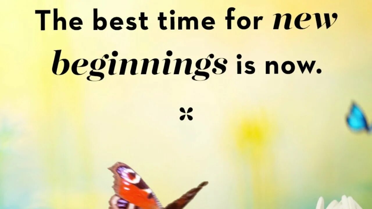 Beginning of new life. Beginning of new life