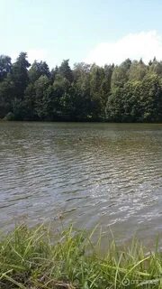 Дулово рыбалка чеховский