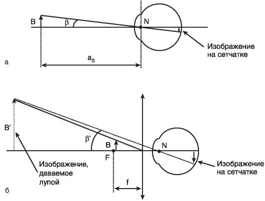 Лупа дает изображение. Оптическая схема лупы. лупа оптический прибор схема. оптическая схема лупы физика. оптическая схема лупы ход лучей.