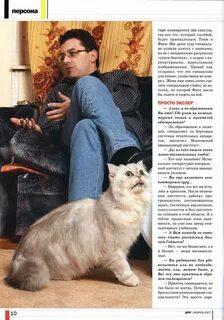 Кот гостевая