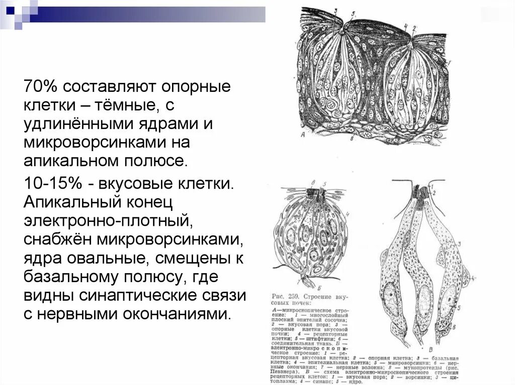 Электронно плотный