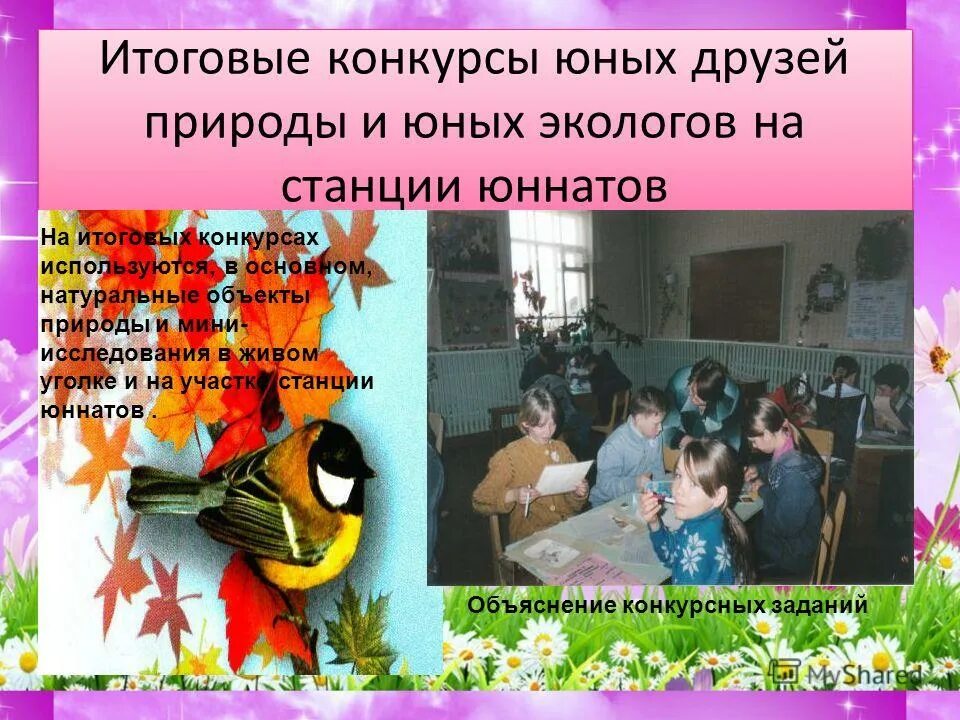 Сколько юннатов координаторов в движении первых. Презентация станции юннатов. презентация посвящение в юннаты. презентация для детей юннаты. викторина для юного натуралиста.