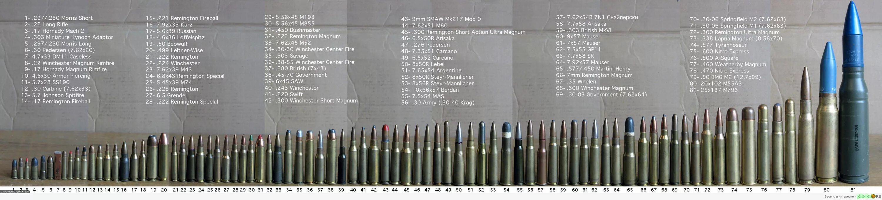 Калибр оружия в мм. 30-06 Калибр в мм. Калибры нарезного оружия 7.62. Винтовка 303 калибра. Патроны ПМП 30-06.