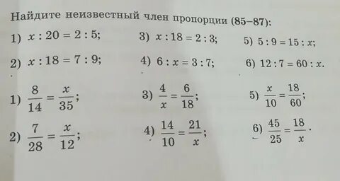 Пропорции 6 класс математика тренажер