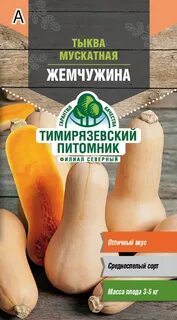 Мускатный сорт тыквы жемчужина