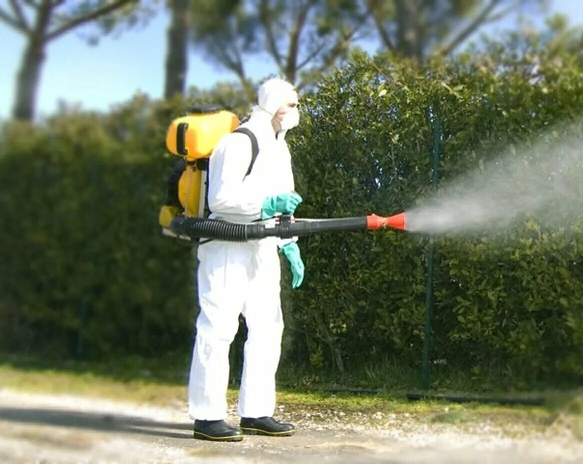 обработка территории от насекомых. опрыскиватель stihl sr 420. дезинфекция помещений в детском саду. дезинсекция в детском саду. дезинфекция в садике.