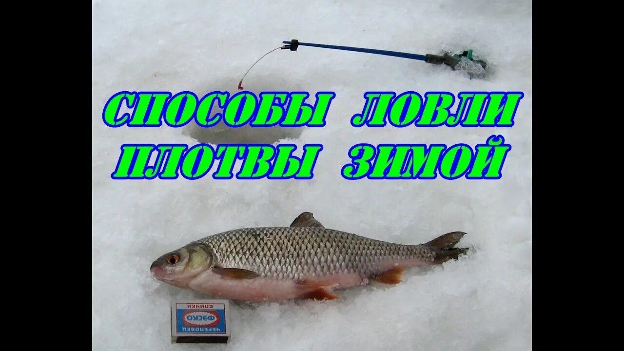 Монтаж на плотву. Лучший монтаж на плотву зимой. настрой на плотву зимний. оснастка на плотву зимой. ловля на бусинку зимой плотвы.