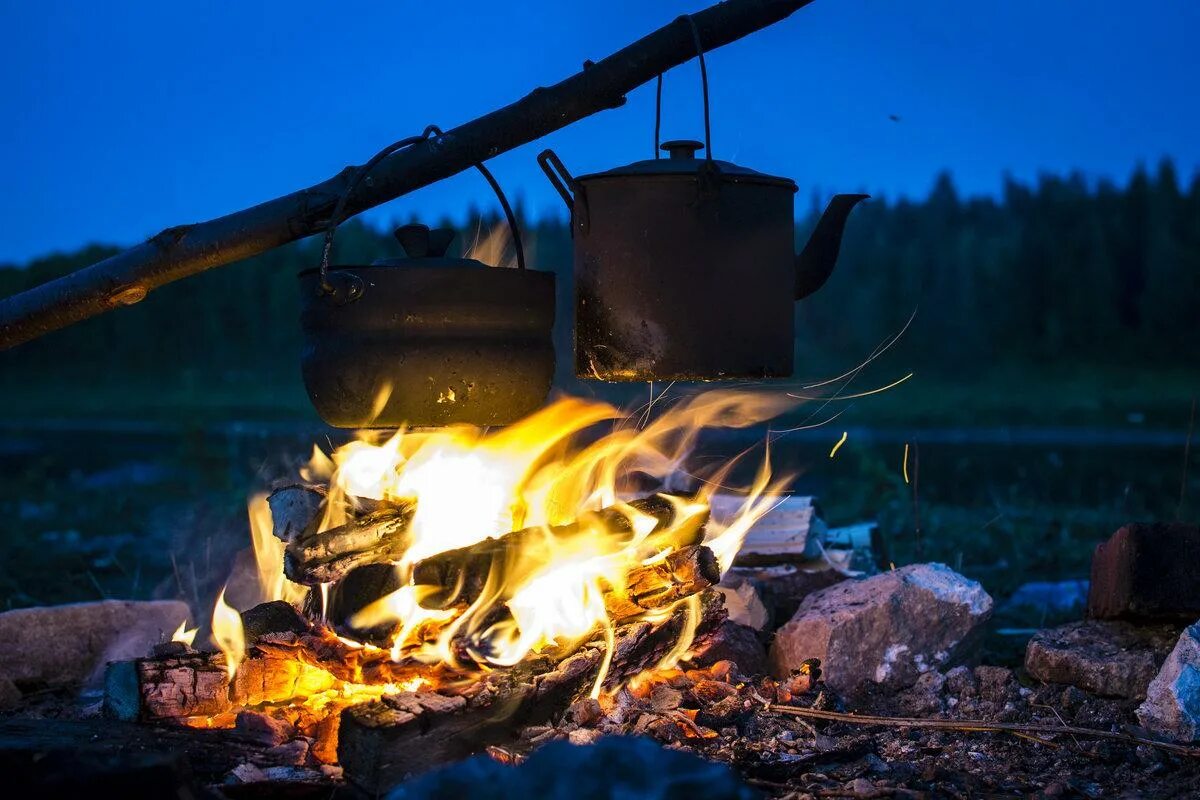 анимация горящего костра. костер видео 10 часов. костер в лесу. костер видео. красивый костер.