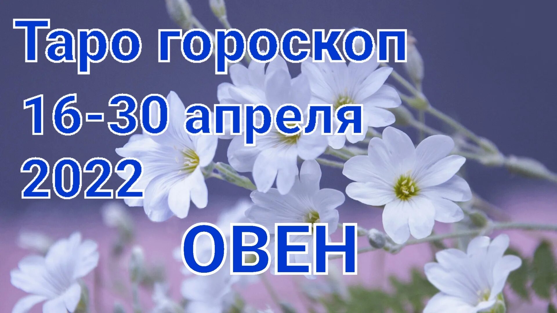 Гороскоп на 16 апреля лев. Овен в апреле 2025. 9 апреля 2025 год скорпион. гороскоп на апрель 2025 овен женщина. гороскоп таро телец женщина 2025 апрель.