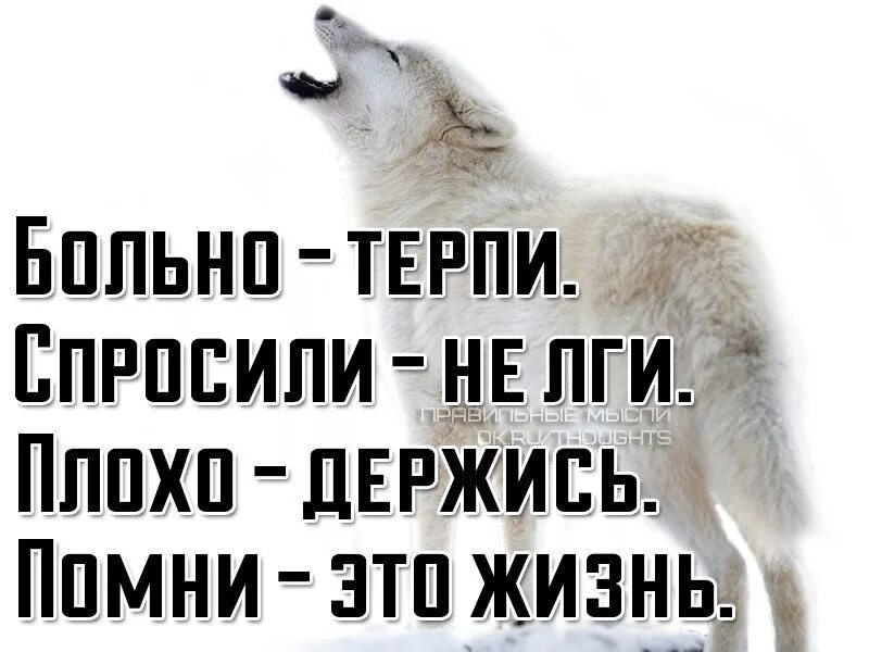 Мне не больно я терплю. Больно терпи. Больно терпи спросили не лги плохо держись Помни это жизнь. Терпи дорогой терпи. Будет больно терпи майнкрафт.