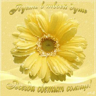 Солнышко пусть вам всегда улыбается