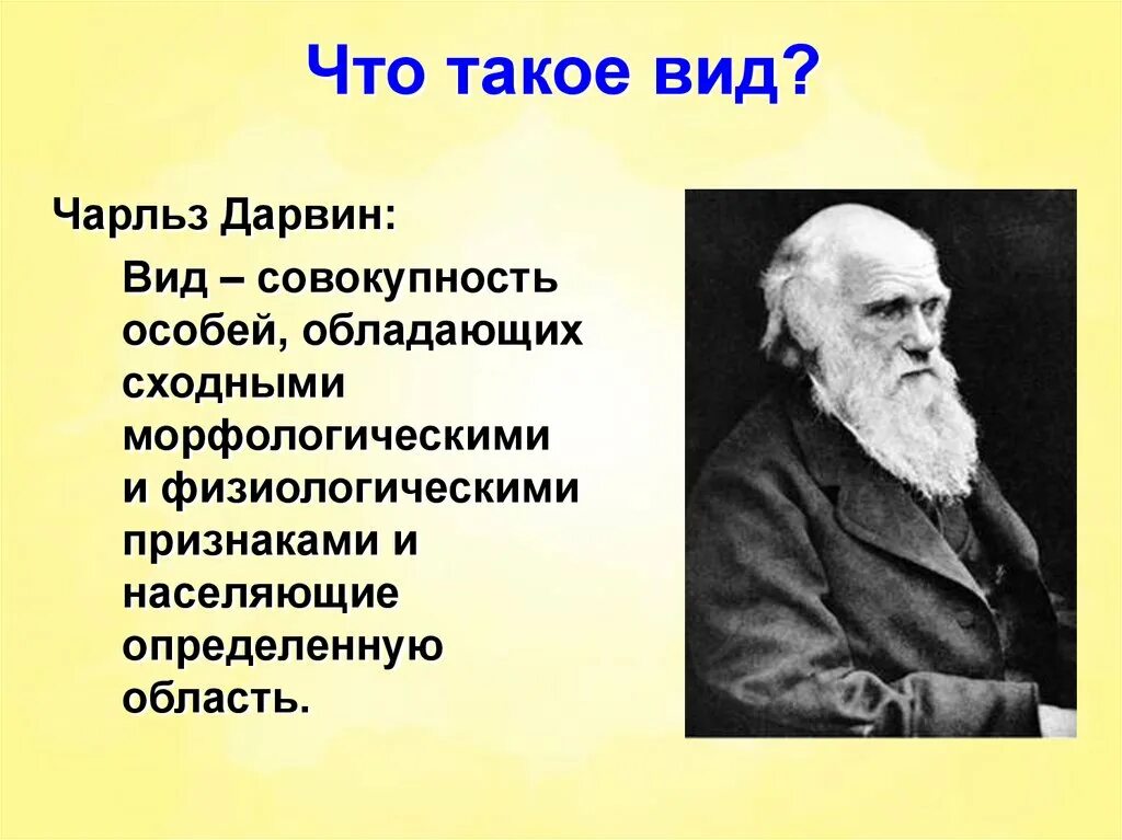 Биология термин вид. Вид это в биологии. Вид. Что такое вид в биологии 9 класс. Ви.