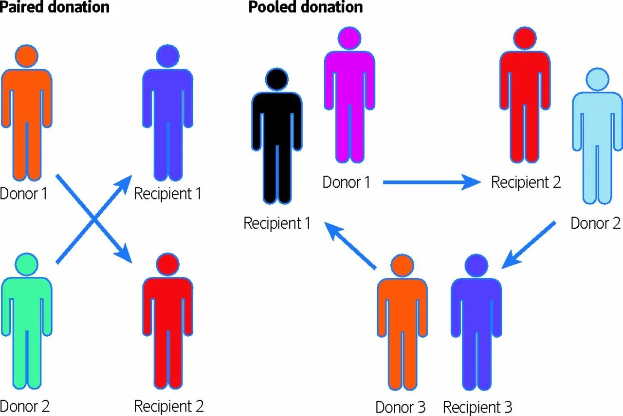 Реципиент трансплантация. Реципиент это общество. Реципиент картинки. Донор и реципиент.