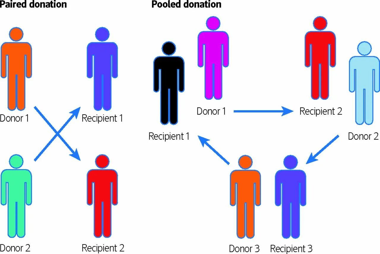 Реципиент это общество. Реципиент картинки. Донор и реципиент. Реципиент трансплантация