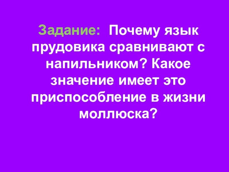 Задачей почему е