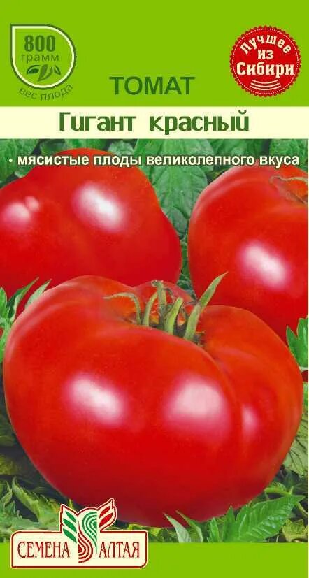 Помидоры великан описание. Сорт помидор сибирский гигант. Томаты испанский гигант описание сорта. Помидоры великан описание. Сахарный гигант томат описание.