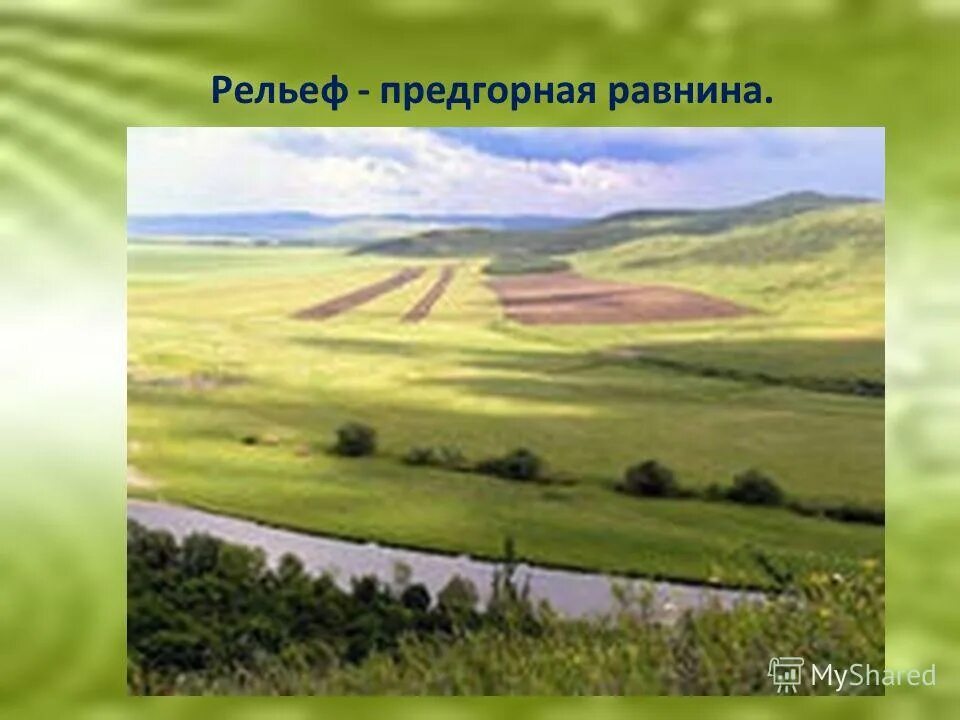 равнины россии. холмистая равнина рельеф. рельеф территории равнинный. западно сибирская равнина тюмень. холмистая равнина рельеф.