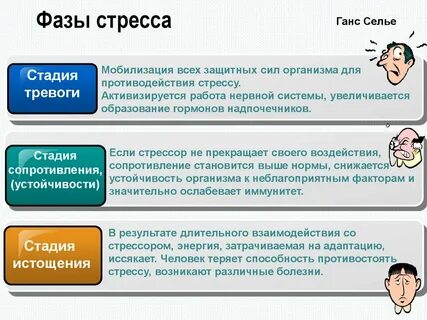 Входе которой