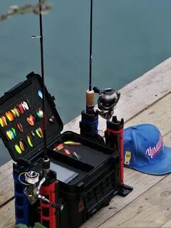 Fish area