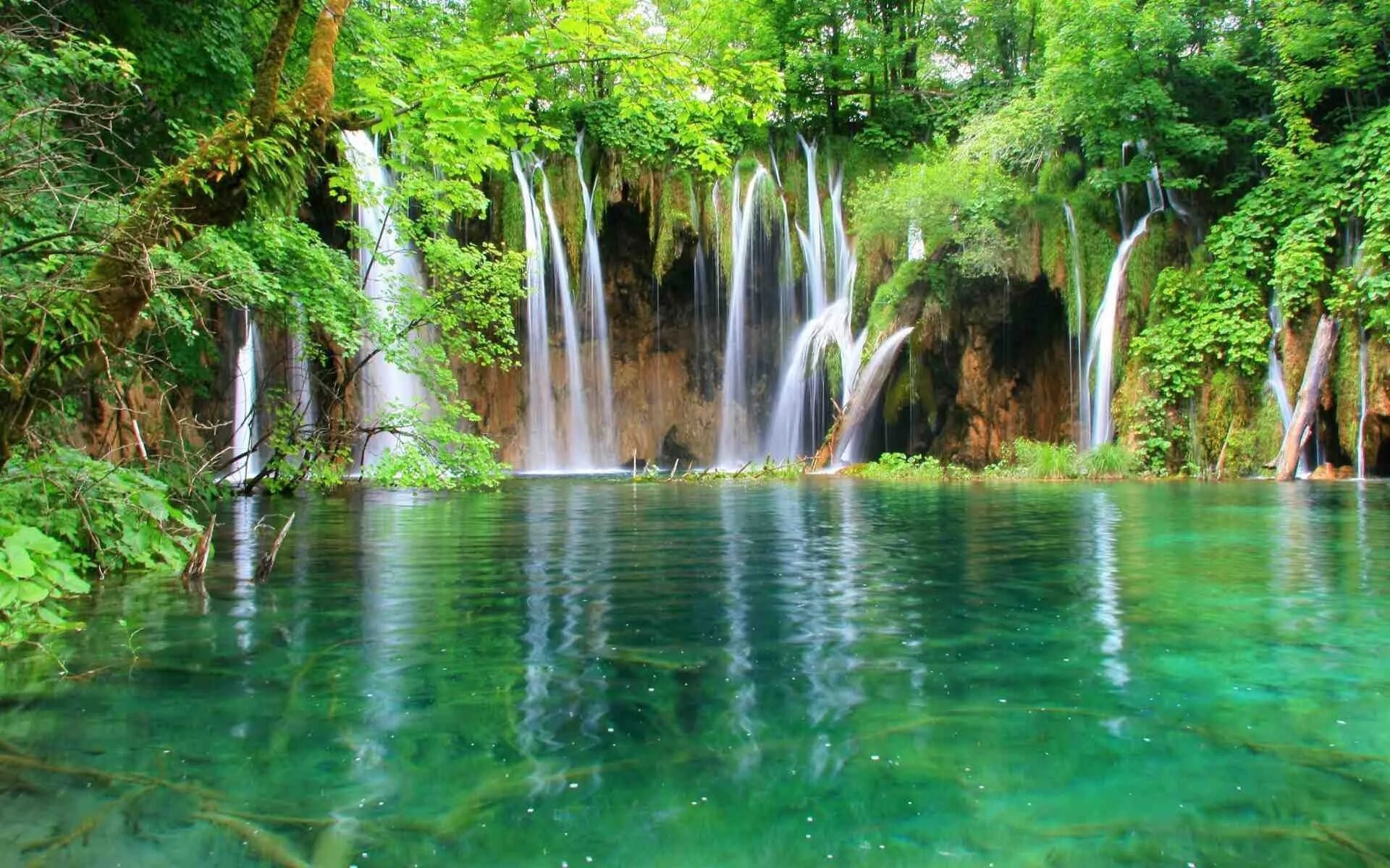 Картинки на обои. Плитвицкие озера орхидеи. Национальный парк Плитвицкие озера Хорватия. Плитвицкие озёра водопады. Водопад Эраван.