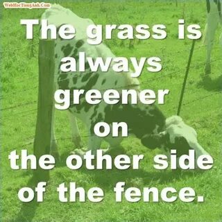 Grass greener on the other side