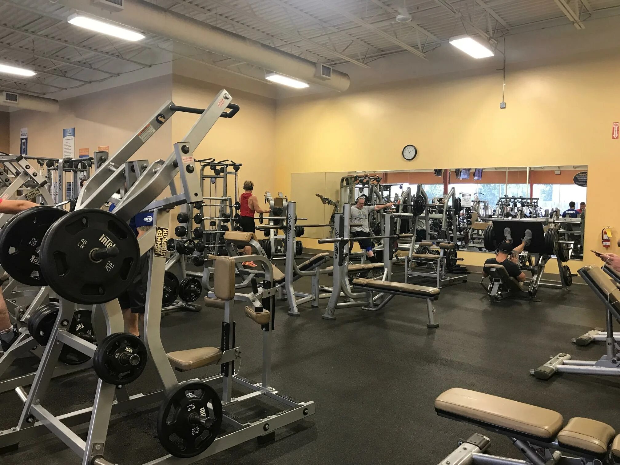 Sky фитнес-клуб хабаровск. Мк спорт хабаровск северный микрорайон. Звери в спортзале. Фитнес центр хабаровск. Фитнес клуб сити джим хабаровск.