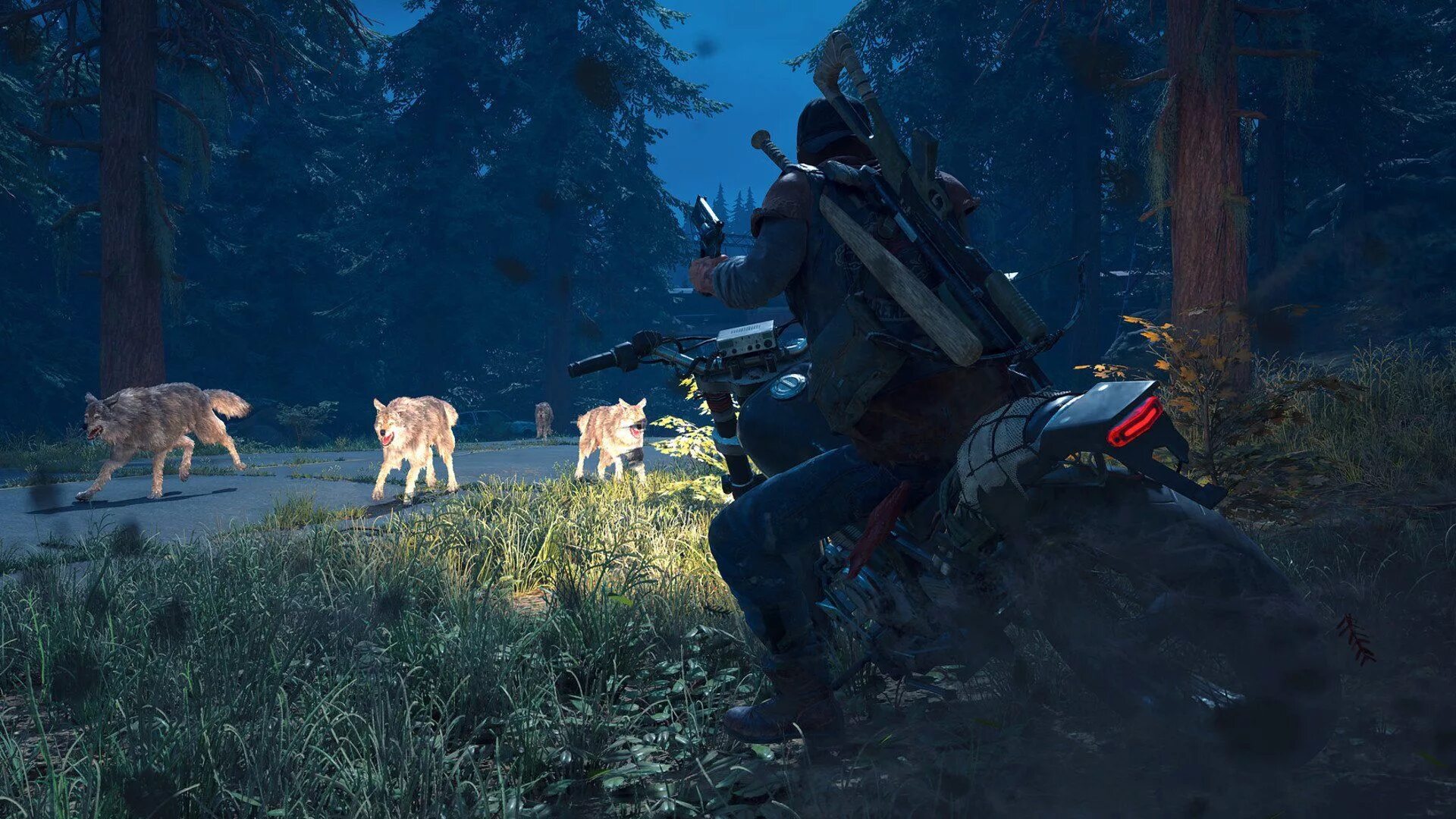 Those days game. Days gone. игра days gone. игра days gone ps4. дейз гон пс 4.