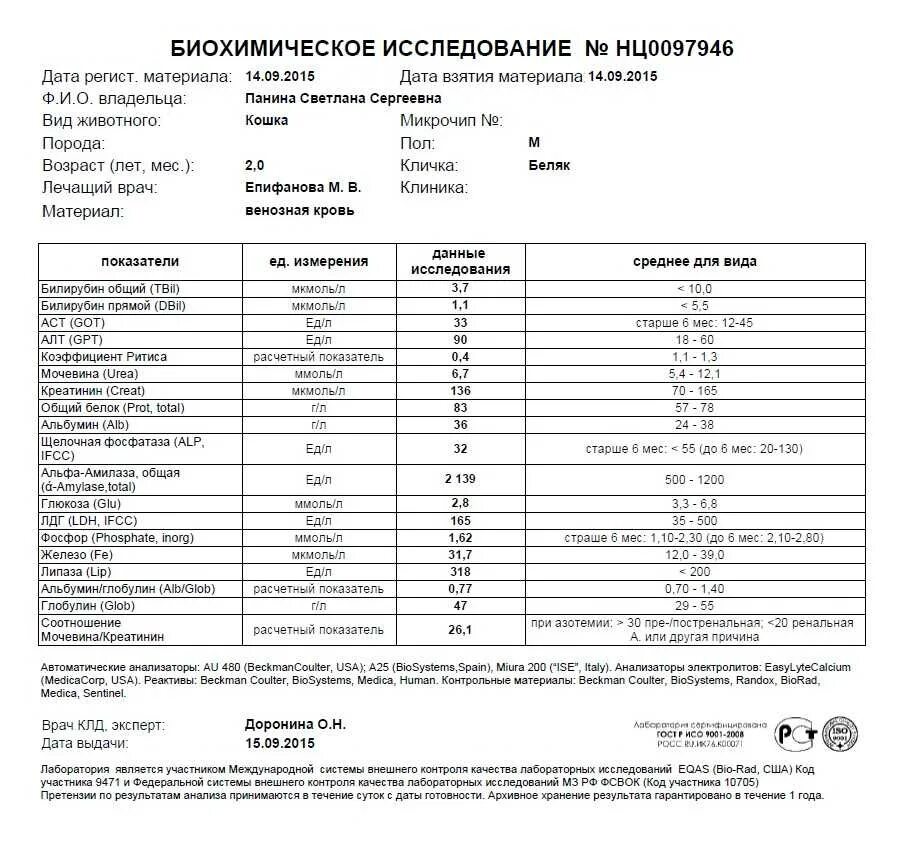 Щелочная фосфатаза у собак повышение. Щелочная фосфатаза у собак показатели. Щелочная фосфатаза анализ крови. Щелочная фосфатаза у собак показатели норма.