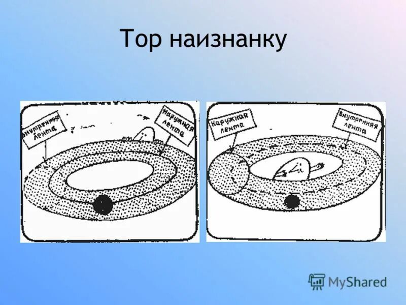 Вывернуть наизнанку. Топология вывернуть сферу наизнанку. тор наизнанку. тор фигура.