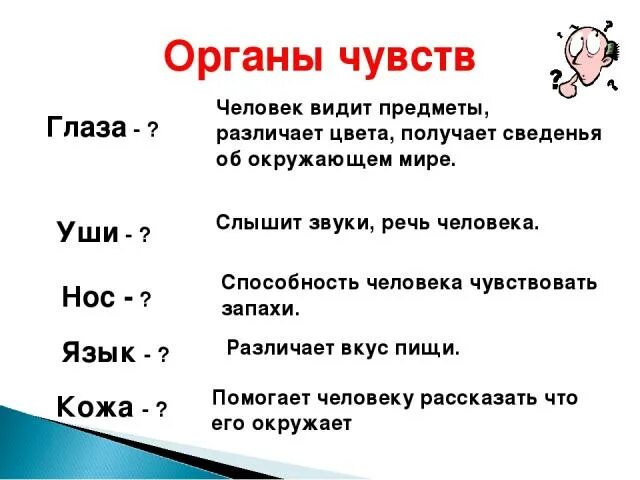 Звук запах вкус. Памятка по окружающему миру 3 класс органы чувств. Какие функции выполняют органы чувств 3 класс окружающий мир. Органы чувств доклад. Органы чувств человека 3 класс окружающий мир доклад.