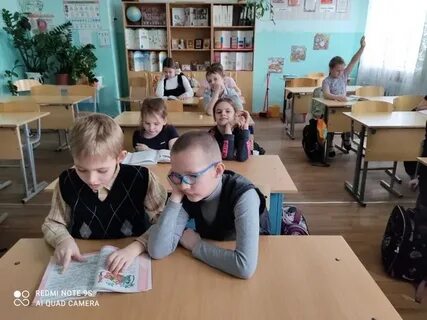Цо 31