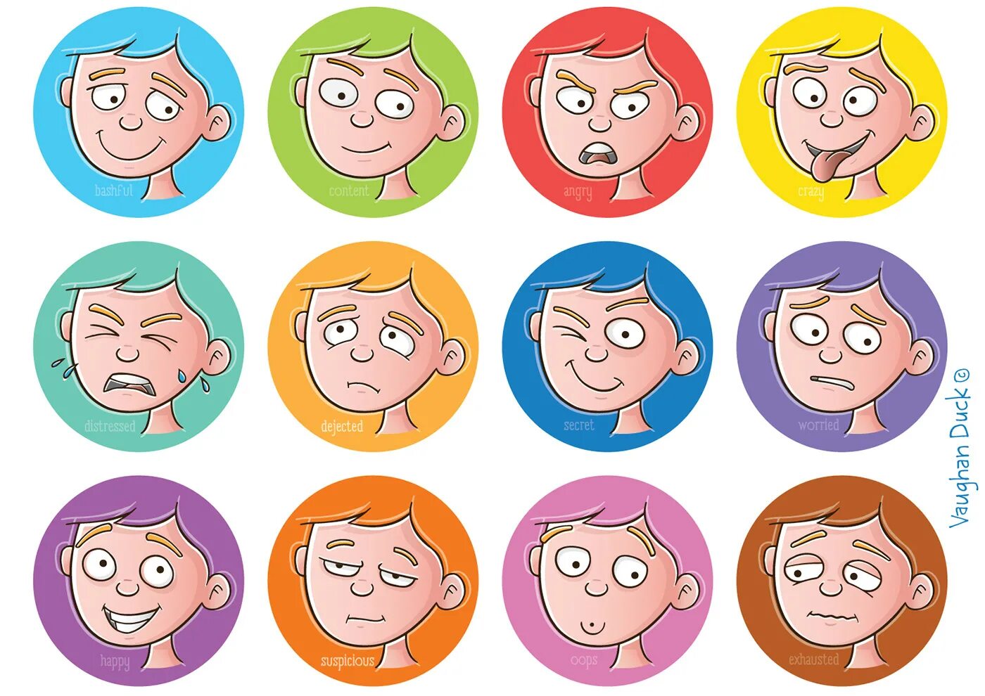 Expression vector