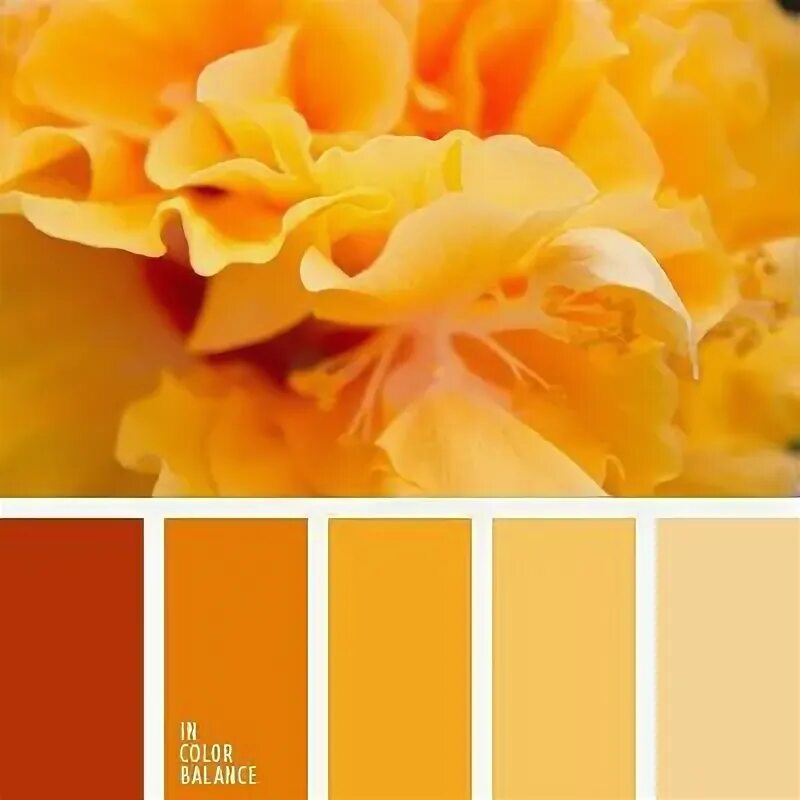 Flowers Color Palette Color schemes, Color palette design, Red color schemes