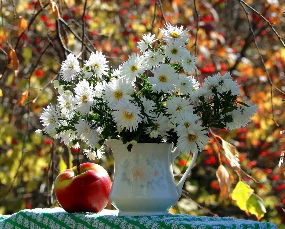 Чудесного летнего утра. Крайнее воскресенье лета. Отличного дня. Уютный натюрморт. Август воскресенье.