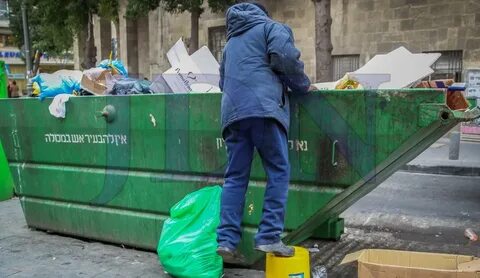 Кто рылся в мусорном ведре