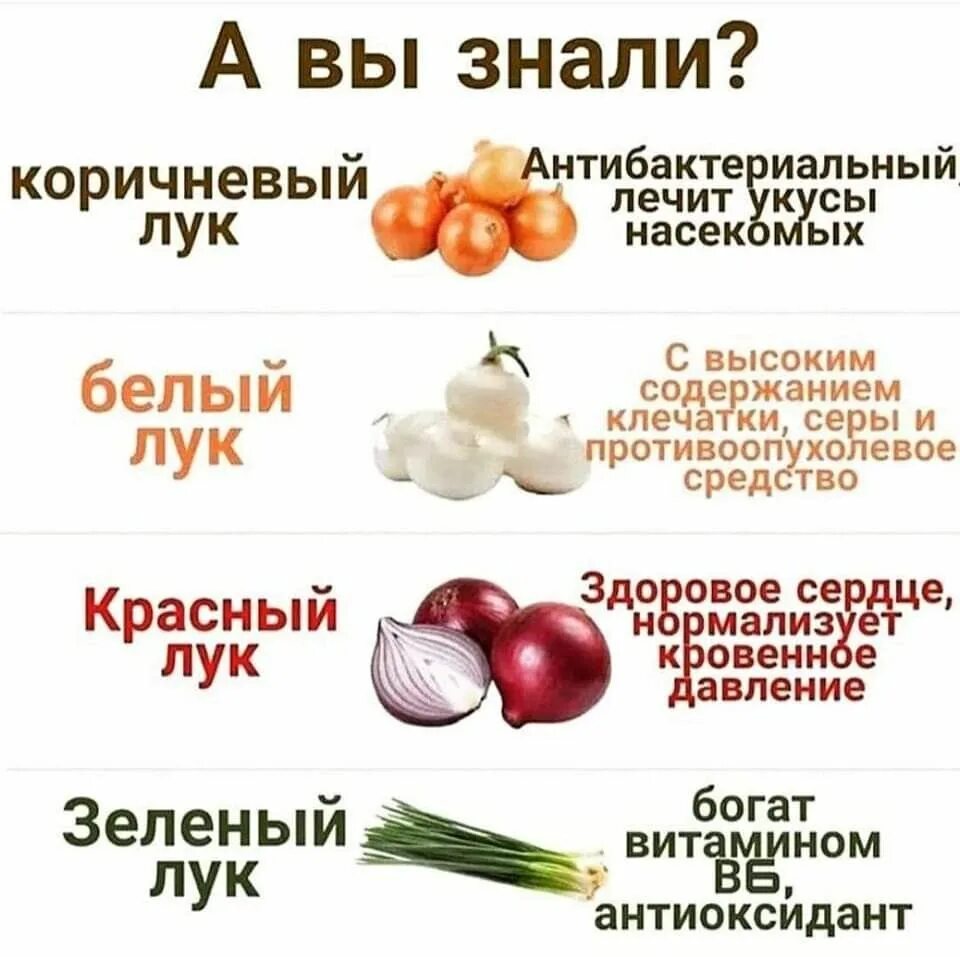 Загадка и ответ золотистый и полезный витаминный хотя резкий. Детям о луке репчатом. Чем полезен лук репчатый. Лук его свойства. Репчатый лук полезные.