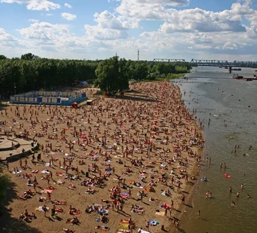 Академгородок новосибирск обское море. Пляж академгородка новосибирск. Центральный пляж новосибирск на обском море. Центральный пляж новосибирск на обском море. Центральный пляж академгородка новосибирск.