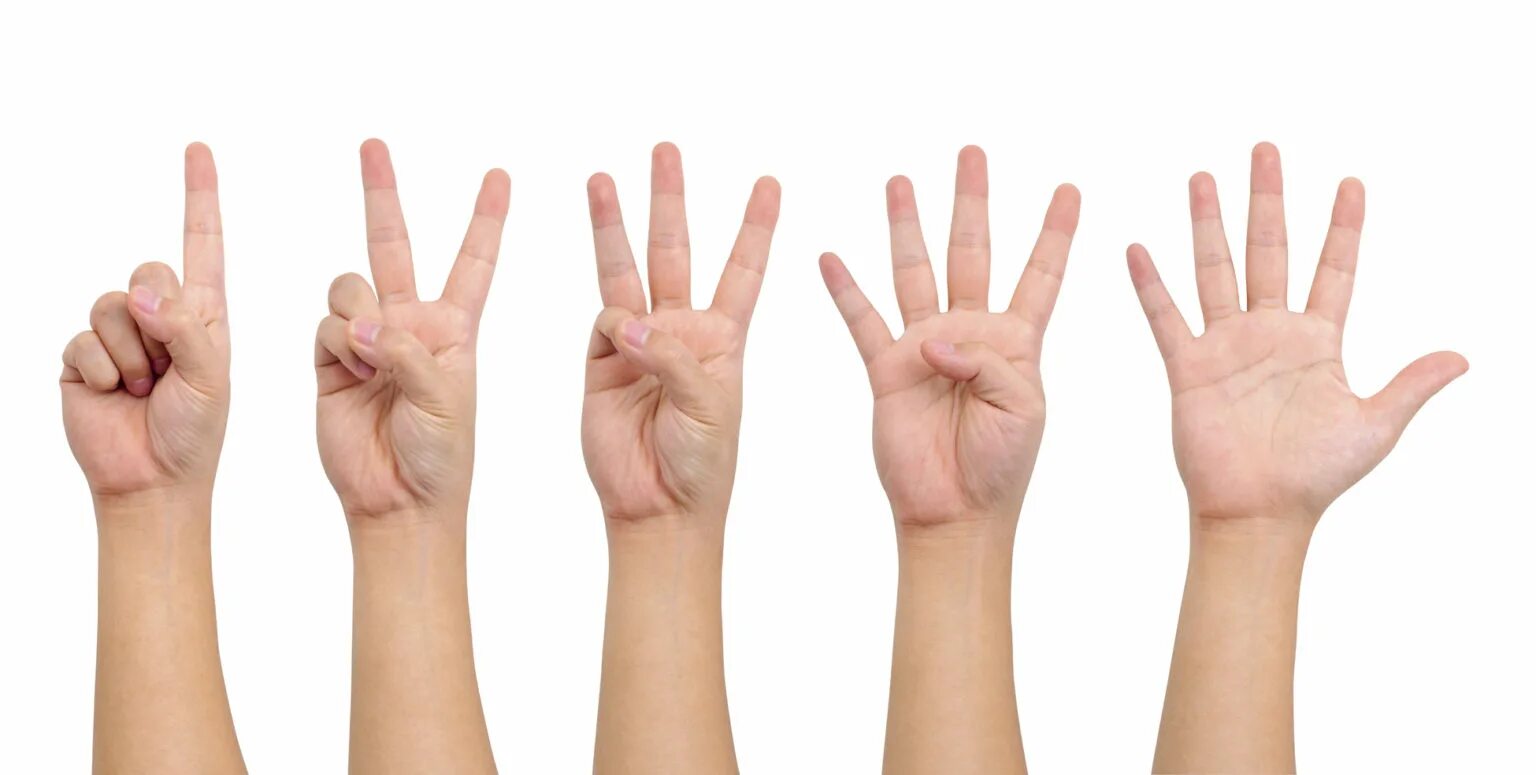 Три показывать. Пять пальцев. Палец на белом фоне.