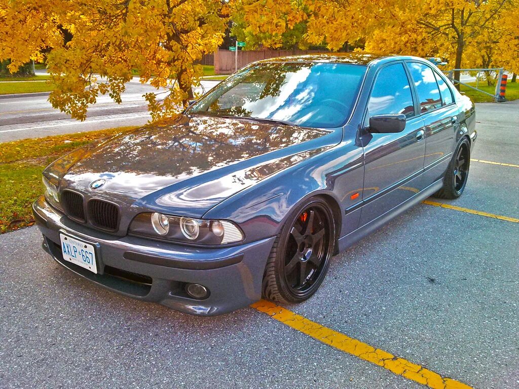 цвета бмв е39. бмв м5 е39. бмв е39 красная. Bmw e39 blue. матовая бмв е39.