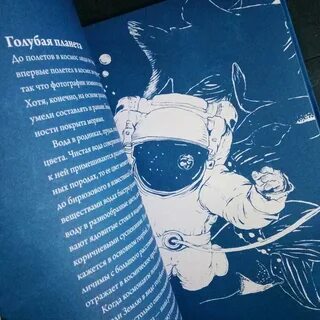 Книга о самом важном