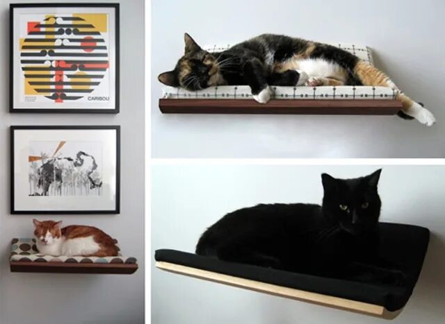 There is a cat. Meme complicated plan. Предлоги there is there are. Спасти рассаду от кота. Cat is looking at the menu.