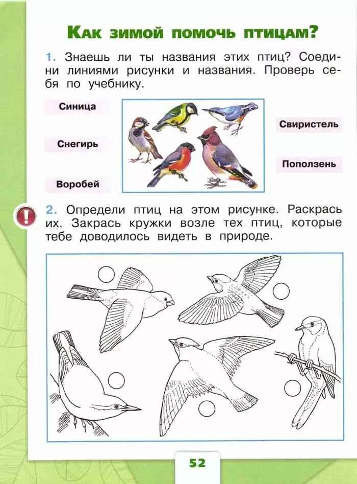 Творческие задания окружающий мир