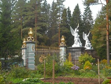 Погода в вырице на 3 дня