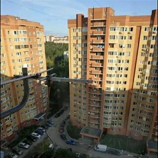 Королев лесная