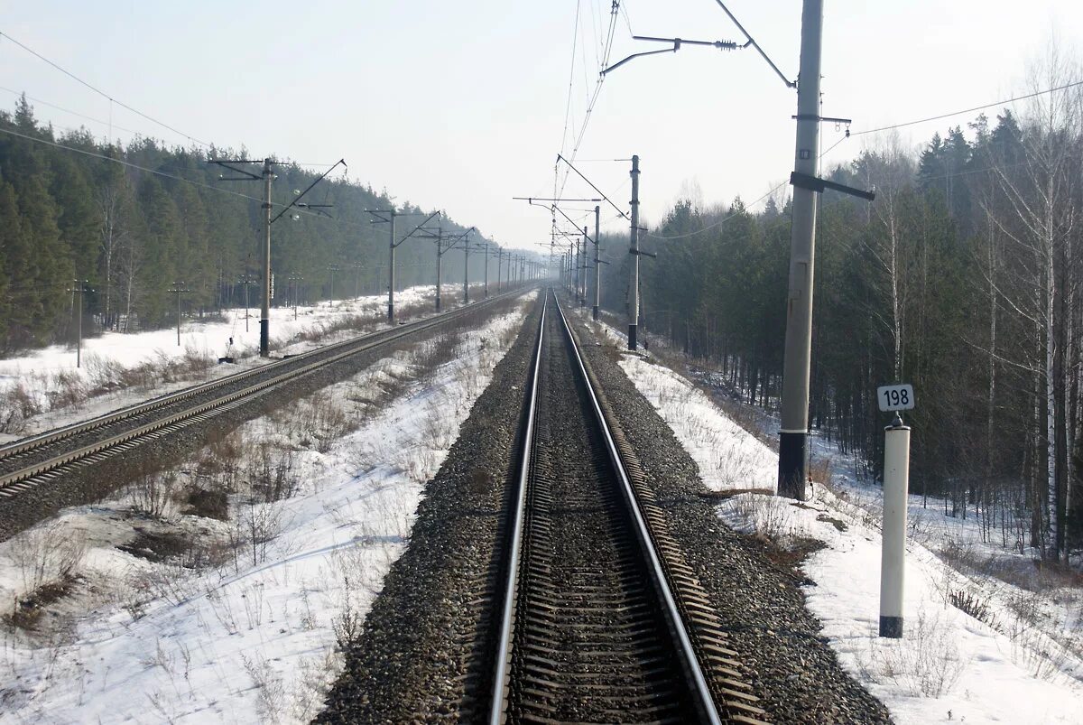 нечаева. нечаевская москва. с. нечаевская москва. нечаевская москва.