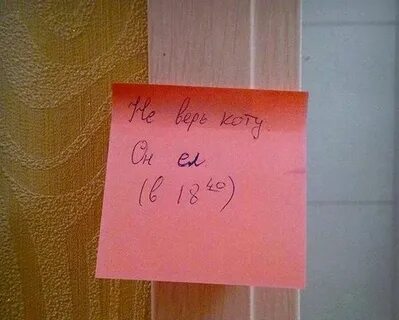 Не верь ей